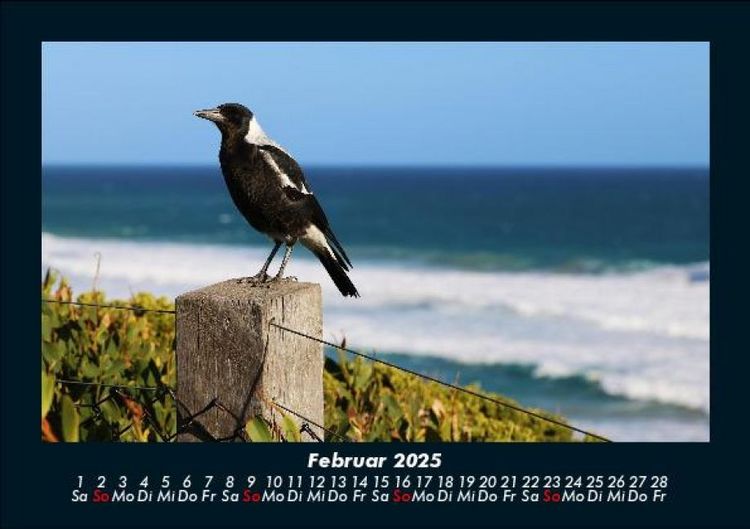 Produktbild: Vogelparadies 2025 Fotokalender DIN A5