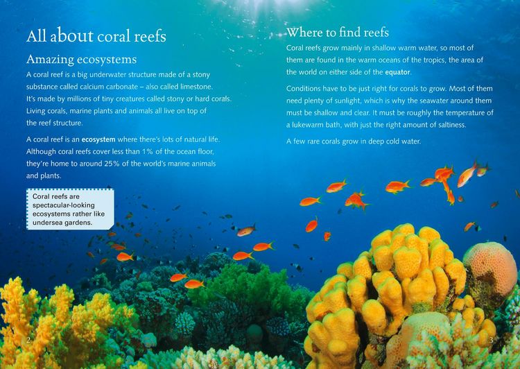 Produktbild: BIG CAT-CORAL REEFS