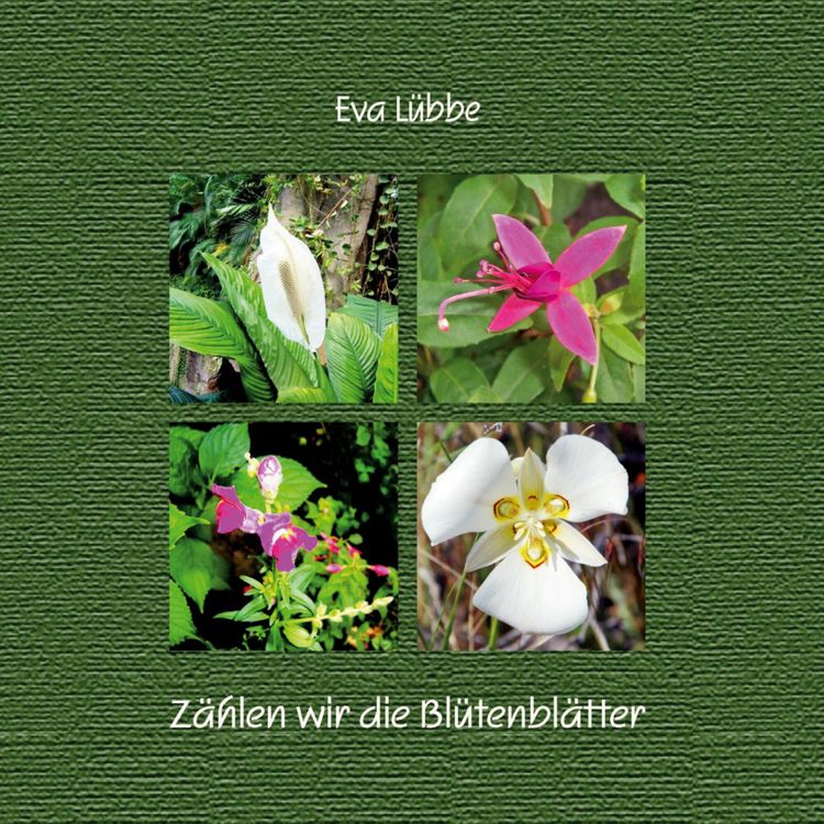 Produktbild: Z&auml;hlen wir die Bl&uuml;tenbl&auml;tter