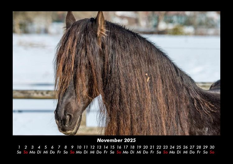 Produktbild: Die Welt der Pferde 2025 Fotokalender DIN A3