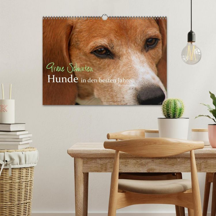 Produktbild: Graue Schnuten - Hunde in den besten Jahren (Wandkalender 2026 DIN A3 quer), CALVENDO Monatskalender