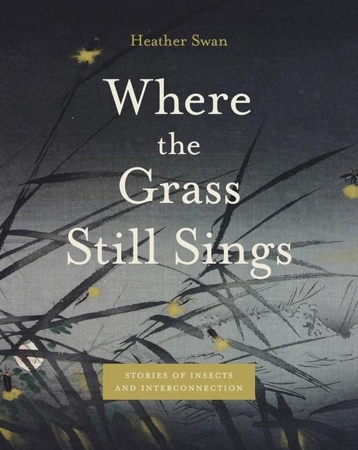 Produktbild: Where the Grass Still Sings