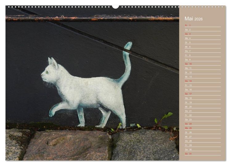 Produktbild: Flensburger Katzen (Wandkalender 2026 DIN A2 quer), CALVENDO Monatskalender