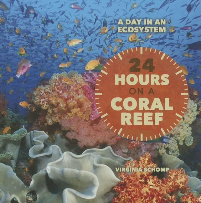 Produktbild: 24 Hours On a Coral Reef