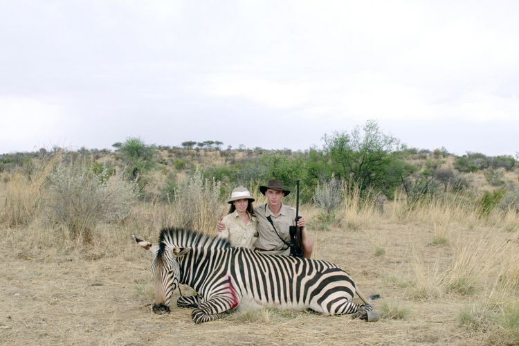 Produktbild: Safari