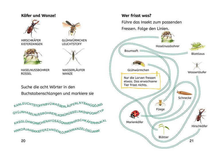 Produktbild: Lesen lernen mit Naturr&auml;tseln, B&uuml;cherhelden 2. Klasse, Insekten & Spinnen