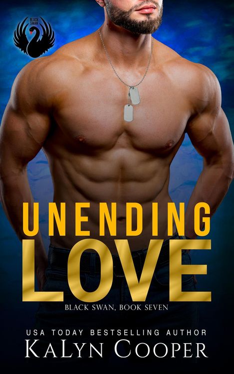 Produktbild: Unending Love: Alex & Katlin: Second Chance Military Romance (Black Swan Series, #7)