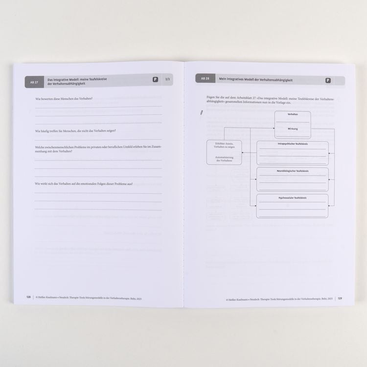 Produktbild: Therapie-Tools St&ouml;rungsmodelle in der Verhaltenstherapie