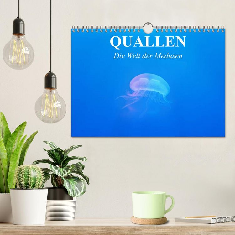 Produktbild: Quallen. Die Welt der Medusen (Wandkalender 2026 DIN A4 quer), CALVENDO Monatskalender