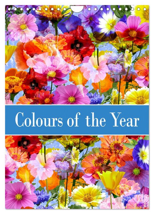 Produktbild: Colours of the Year (Wall Calendar 2026 DIN A4 portrait), CALVENDO 12 Month Wall Calendar
