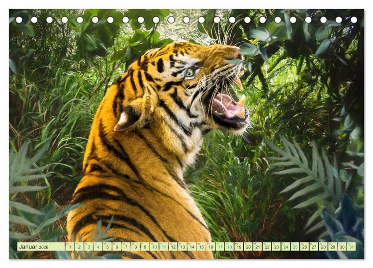 Produktbild: Hallo Dschungel - Artwork (Tischkalender 2026 DIN A5 quer), CALVENDO Monatskalender