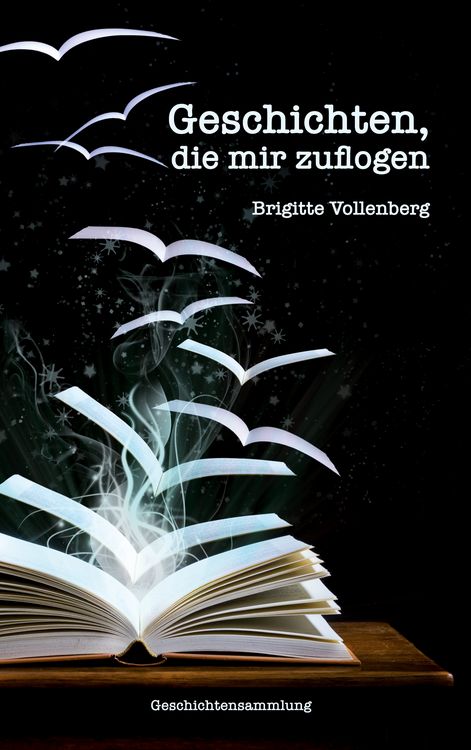 Produktbild: Geschichten, die mir zuflogen