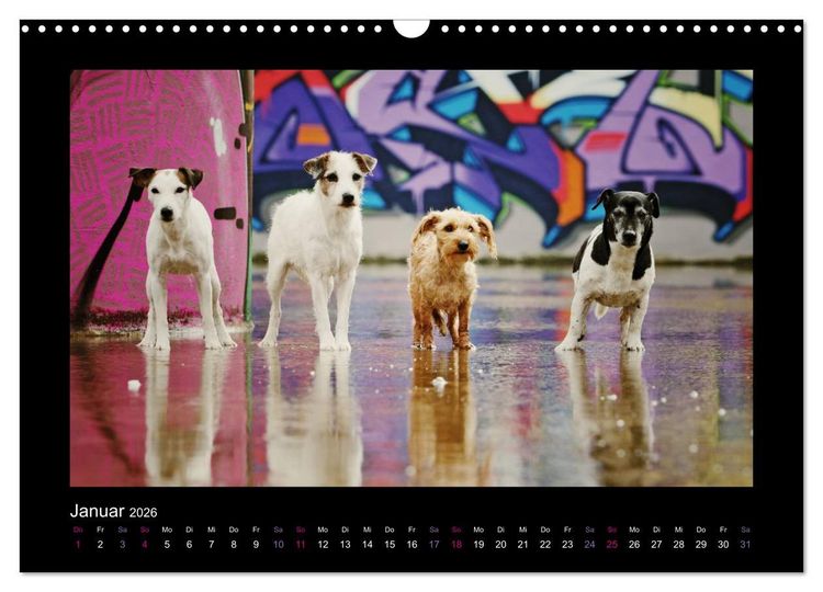 Produktbild: Die Parsons (Wandkalender 2026 DIN A3 quer), CALVENDO Monatskalender