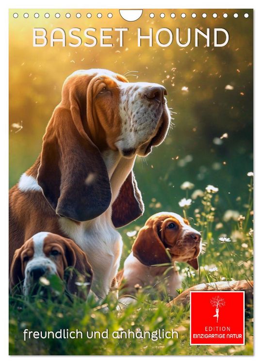 Produktbild: Basset Hound - freundlich und anh&auml;nglich (Wandkalender 2026 DIN A4 hoch), CALVENDO Monatskalender