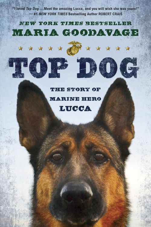 Produktbild: Top Dog