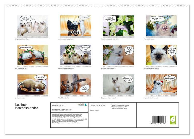 Produktbild: Lustiger Katzenkalender (hochwertiger Premium Wandkalender 2026 DIN A2 quer), Kunstdruck in Hochglanz
