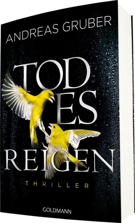 Produktbild: Todesreigen / Maarten S. Sneijder Band 4