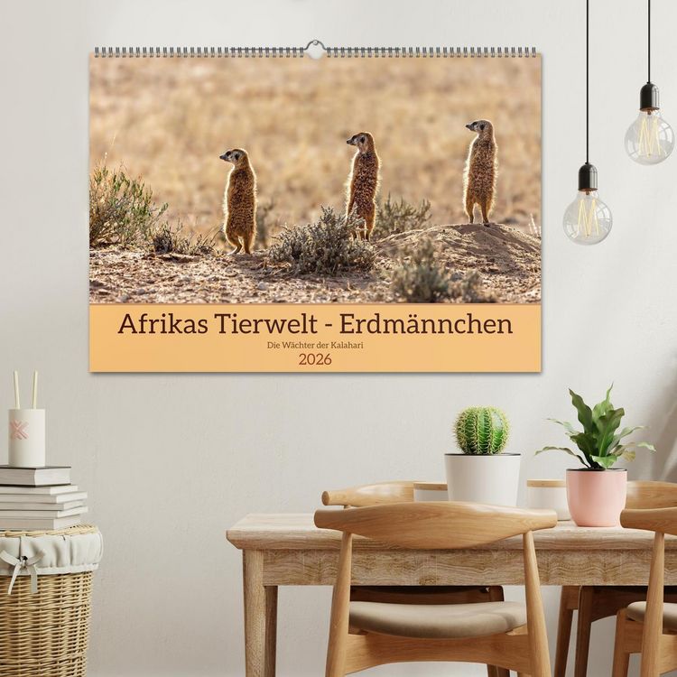 Produktbild: Afrikas Tierwelt - Erdm&auml;nnchen (Wandkalender 2026 DIN A2 quer), CALVENDO Monatskalender