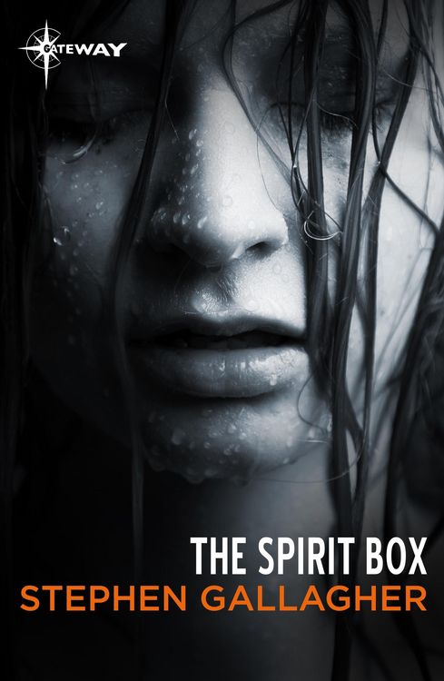 Produktbild: The Spirit Box