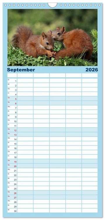 Produktbild: Familienplaner 2026 - Eichh&ouml;rnchen Luna und ihre Kinder mit 5 Spalten (Wandkalender, 21 x 45 cm) CALVENDO