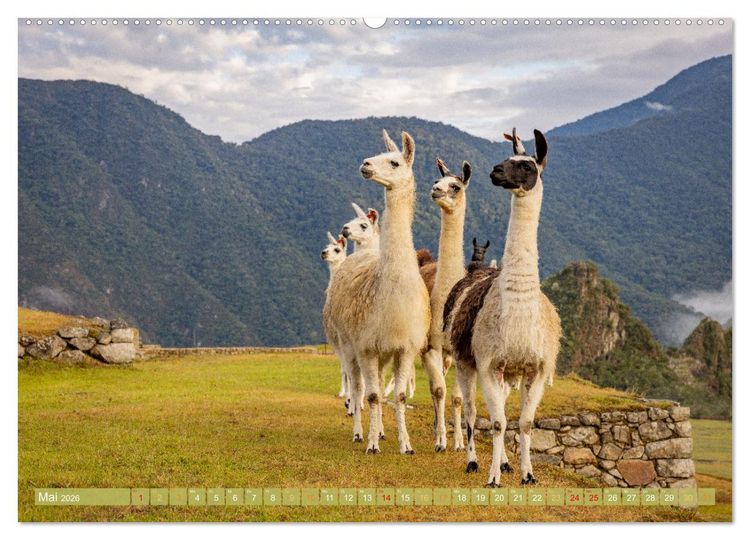 Produktbild: Peru - Bunte Vielfalt von Machu Picchu bis zur Atacama W&uuml;ste (hochwertiger Premium Wandkalender 2026 DIN A2 quer), Kunstdruck in Hochglanz