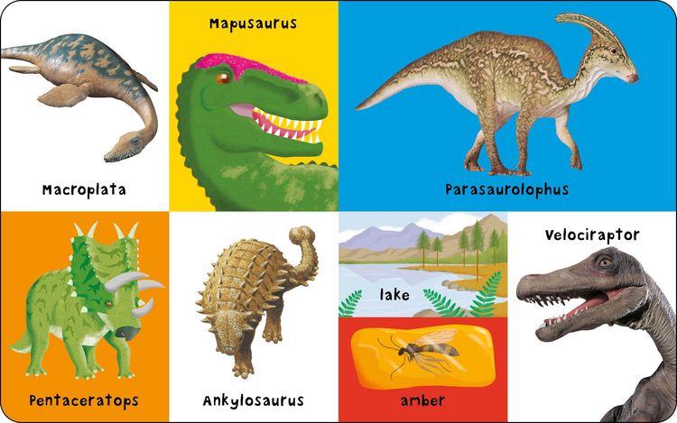 Produktbild: First 100 Dinosaurs