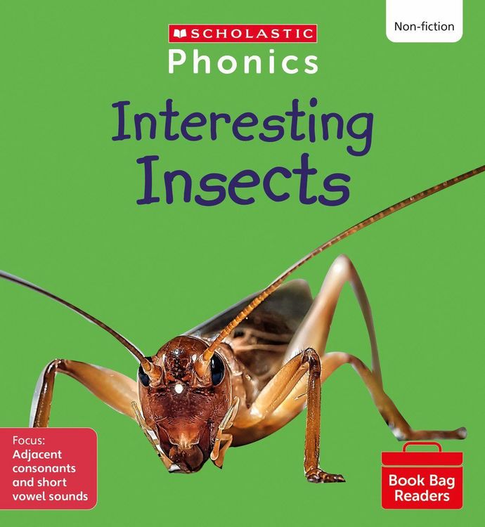 Produktbild: Interesting Insects (Set 7)