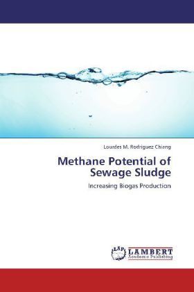 Produktbild: Rodriguez Chiang, L: Methane Potential of Sewage Sludge