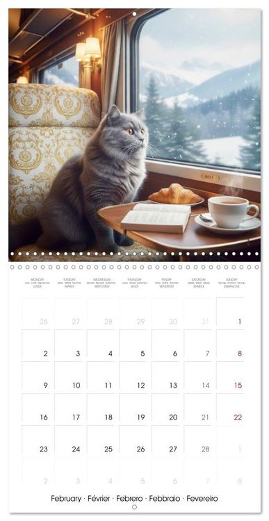 Produktbild: Le duc gris en voyage (Calendrier mural carr&eacute; 2026 30x30 cm) Calendrier double avec une page pour vos prises de notes