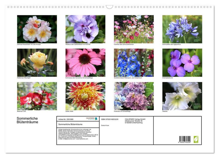 Produktbild: Sommerliche Bl&uuml;tentr&auml;ume (Wandkalender 2026 DIN A2 quer), CALVENDO Monatskalender