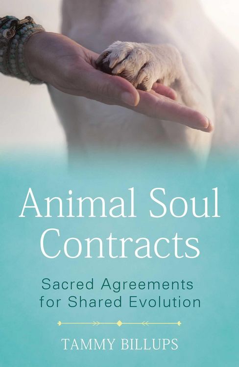 Produktbild: Animal Soul Contracts