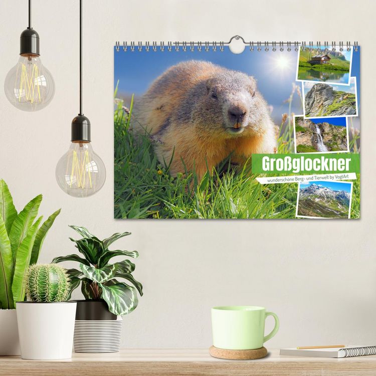 Produktbild: Gro&szlig;glockner wundersch&ouml;ne Berg- und Tierwelt (Wandkalender 2026 DIN A4 quer), CALVENDO Monatskalender