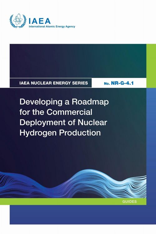 Produktbild: Developing a Roadmap for the Commercial Deployment of Nuclear Hydrogen Production