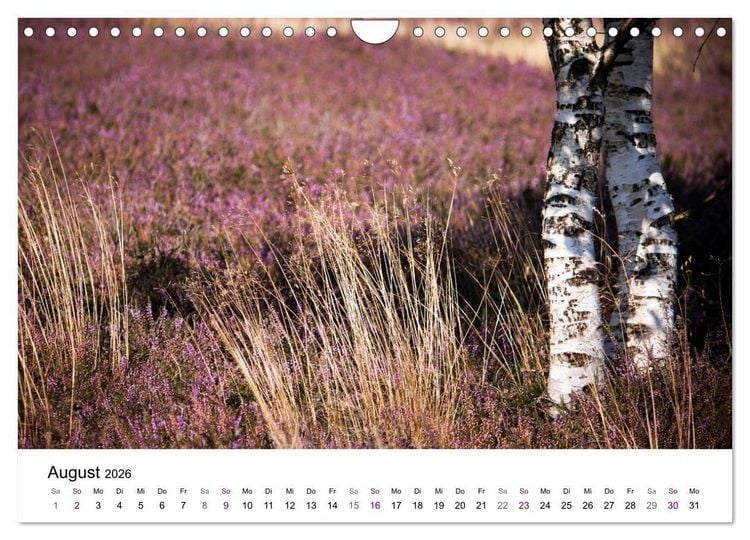 Produktbild: L&uuml;neburger Heide (Wandkalender 2026 DIN A4 quer), CALVENDO Monatskalender