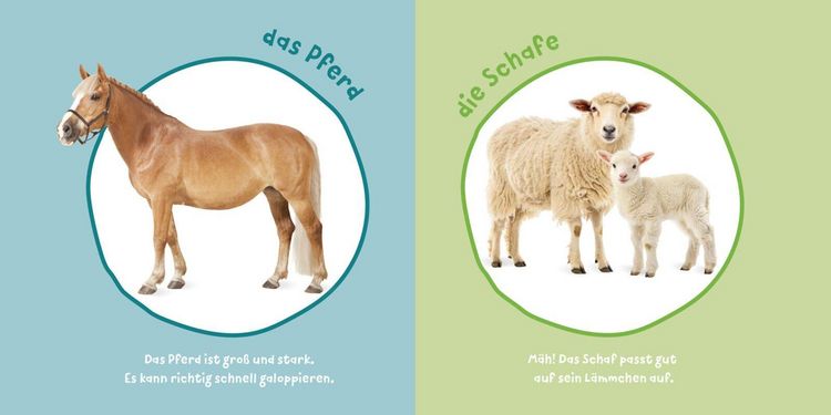 Produktbild: Baby Pixi (unkaputtbar) 183: Mein Baby-Pixi-Buggybuch: Meine ersten Tiere