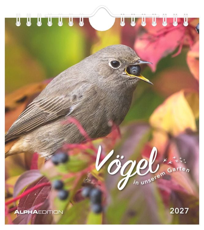 Produktbild: V&ouml;gel in unserem Garten 2027