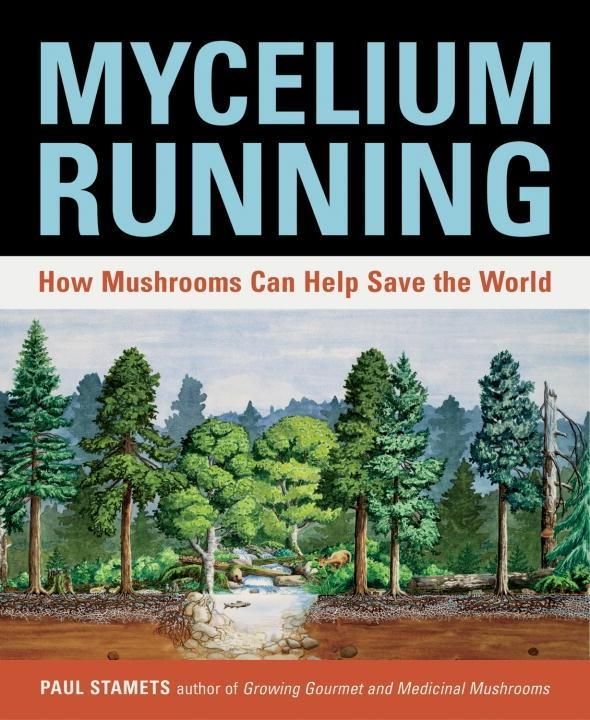 Produktbild: Mycelium Running