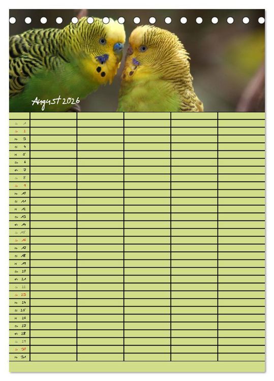 Produktbild: Der Wellensittich-Familienplaner (Tischkalender 2026 DIN A5 hoch), CALVENDO Monatskalender