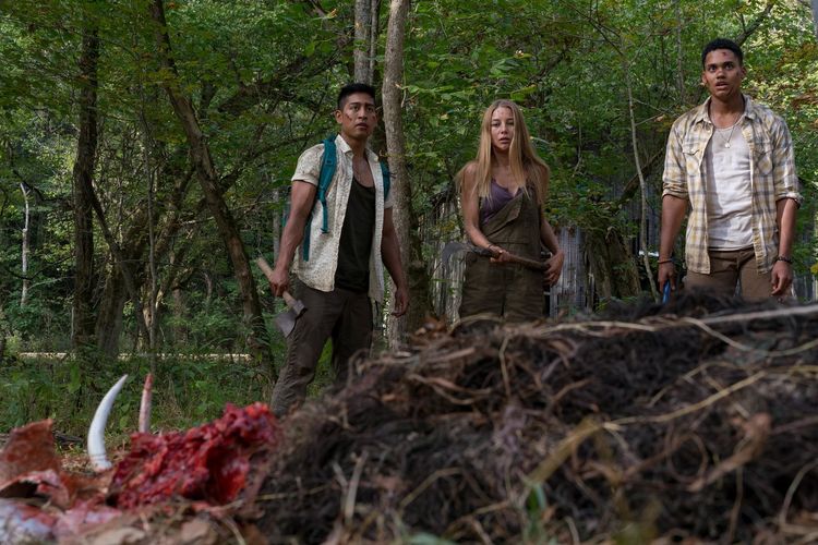 Produktbild: Wrong Turn - The Foundation