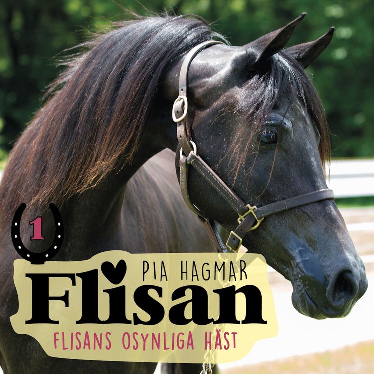 Produktbild: Flisans osynliga h&auml;st