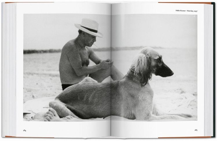 Produktbild: The Dog in Photography 1839&ndash;Today