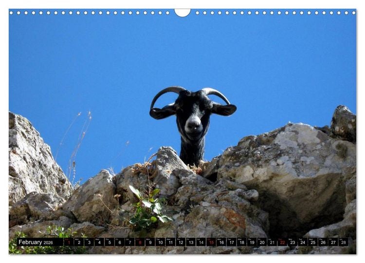 Produktbild: Rhodes - Greece (Wall Calendar 2026 DIN A3 landscape), CALVENDO 12 Month Wall Calendar
