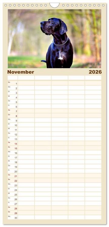 Produktbild: Familienplaner 2026 - Deutsche Doggen / Geburtstagskalender mit 5 Spalten (Wandkalender, 21 x 45 cm) CALVENDO