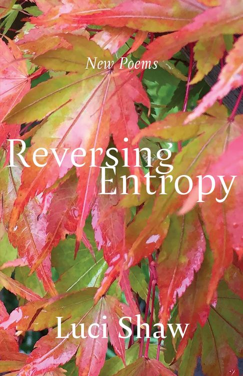 Produktbild: Reversing Entropy