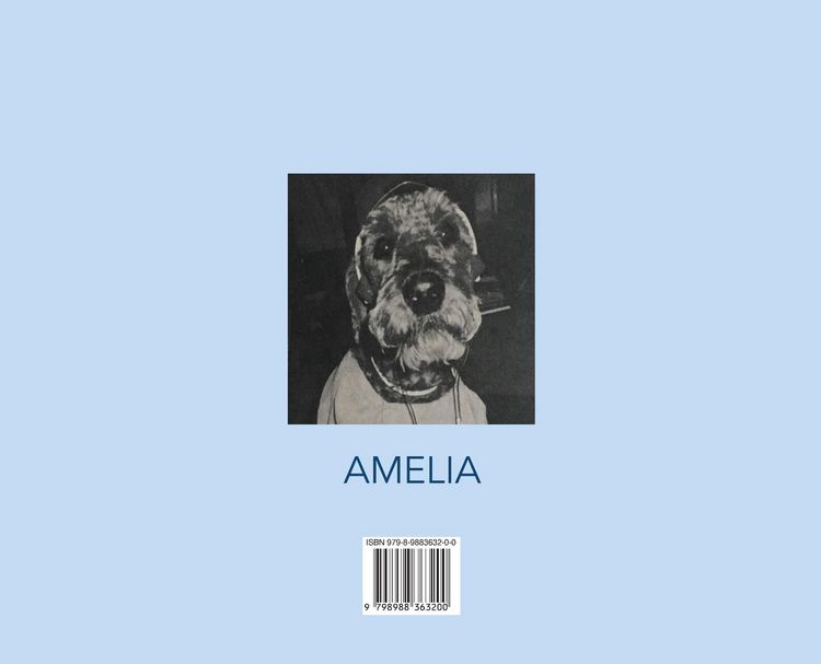 Produktbild: The Story of Amelia Airedale