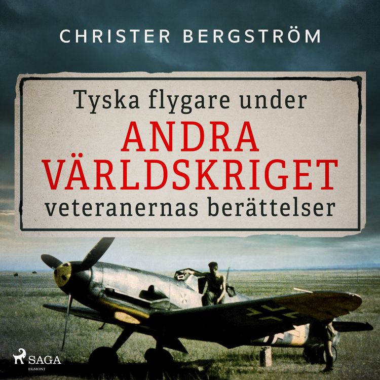 Produktbild: Tyska flygare under andra v&auml;rldskriget : veteranernas ber&auml;ttelser. Del 2