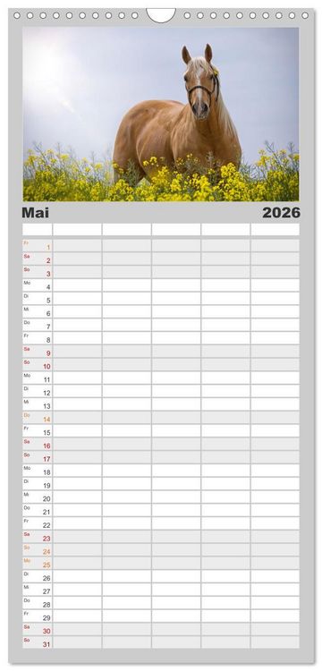 Produktbild: Familienplaner 2026 - Faszination Westernpferde mit 5 Spalten (Wandkalender, 21 x 45 cm) CALVENDO