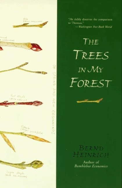 Produktbild: The Trees in My Forest