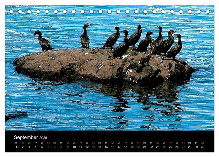 Produktbild: Neufundland entdecken (Tischkalender 2026 DIN A5 quer), CALVENDO Monatskalender
