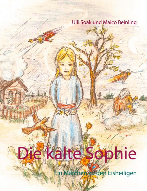 Produktbild: Die kalte Sophie